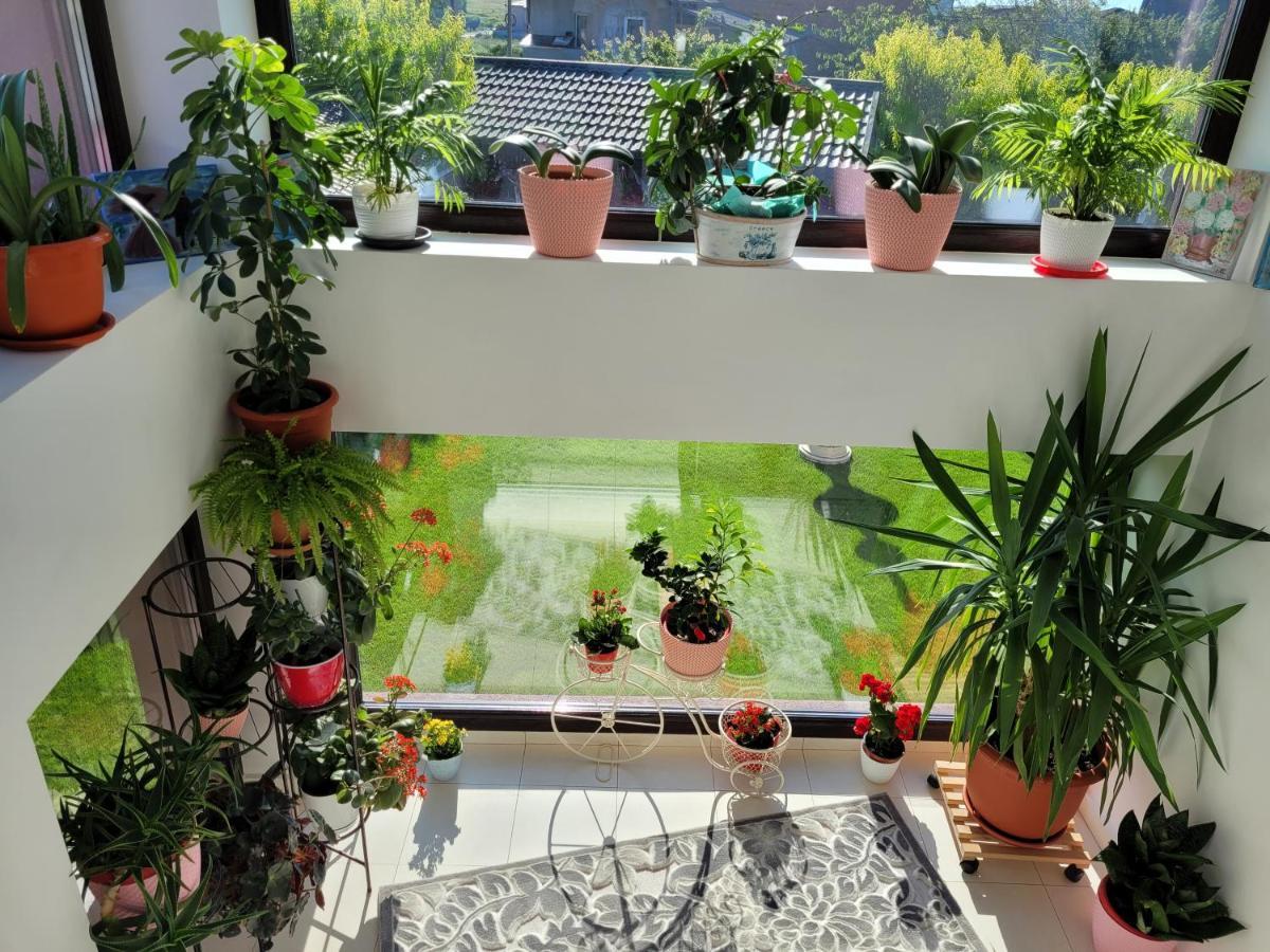 Kys House Hotel Techirghiol Ngoại thất bức ảnh